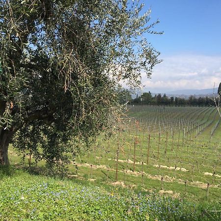 Tenuta La Ca Leilighet Bardolino Eksteriør bilde