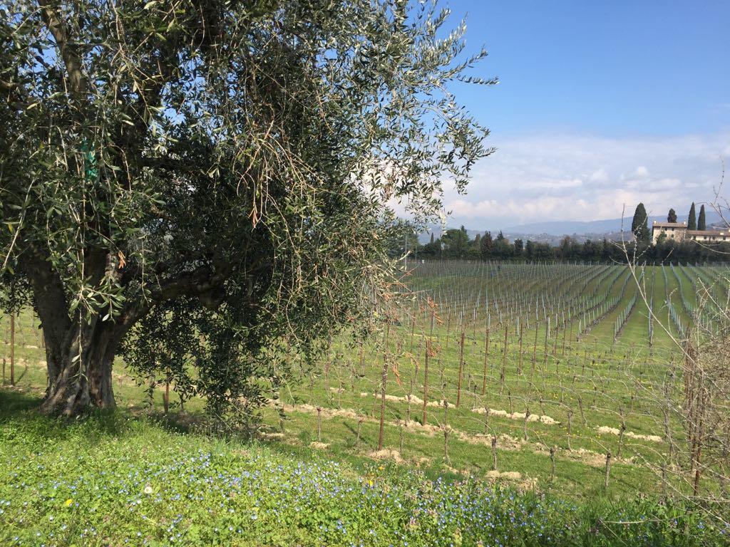 Tenuta La Ca Leilighet Bardolino Eksteriør bilde