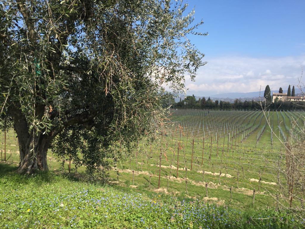 Tenuta La Ca Bardolino Eksteriør bilde